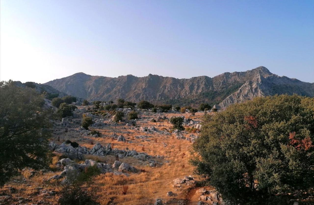 Casas Las Piedras De Agua Grazalema Luaran gambar